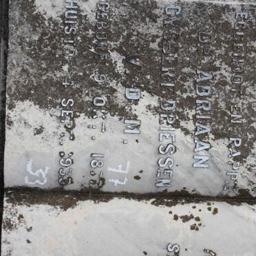 DRIESSEN Adriaan Gysbert 1877-1933