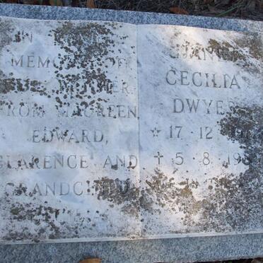 Dw - surnames starting with the letters Dw &amp; D'W