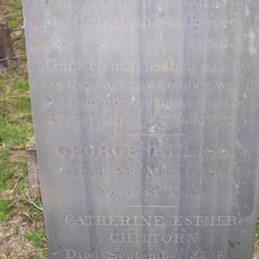 ELLISON George -1861 &amp; Catherine Esther CHILTORN -1874