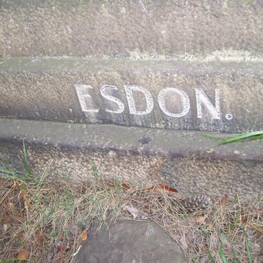 ESDON