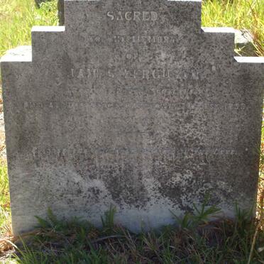 FERGUSON James -1893