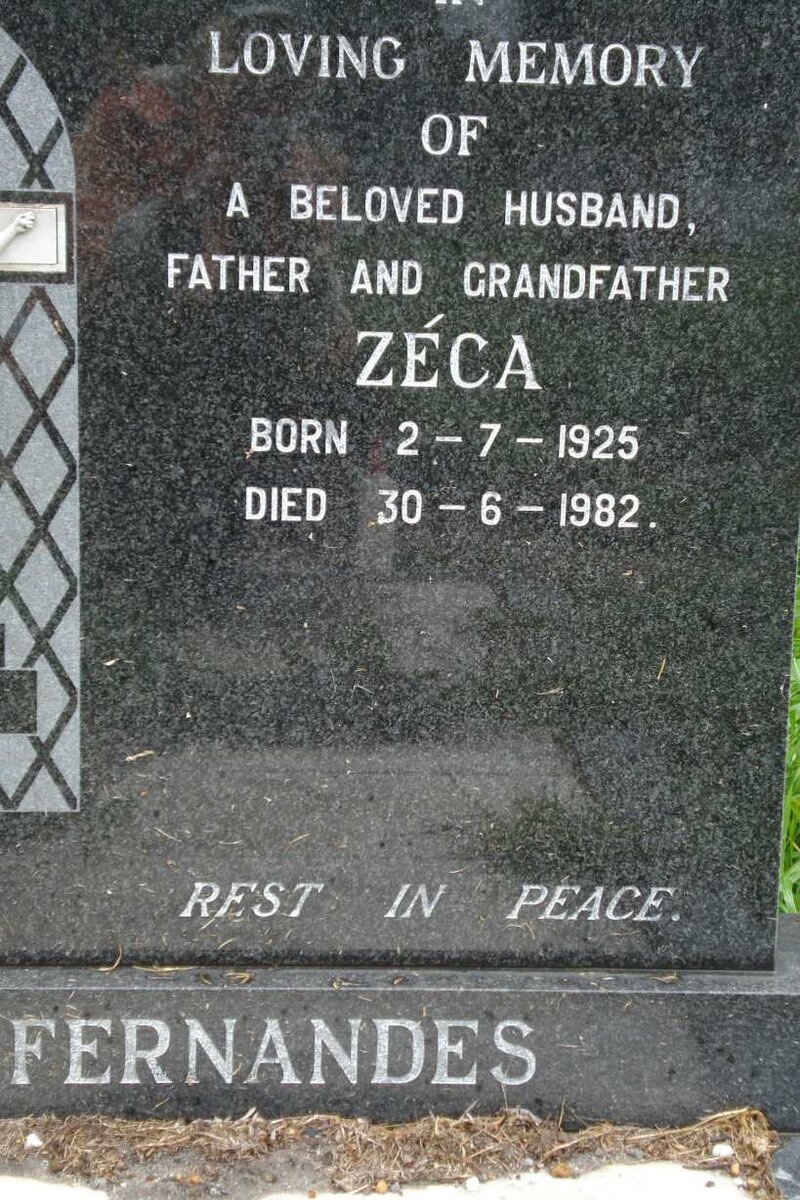 FERNANDES Zeca 1925-1982