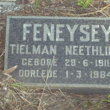 FENEYSEY :: PENTZ :: NEETHLING 