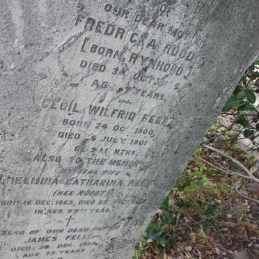 FELIX :: ROODT :: RYNHOUD