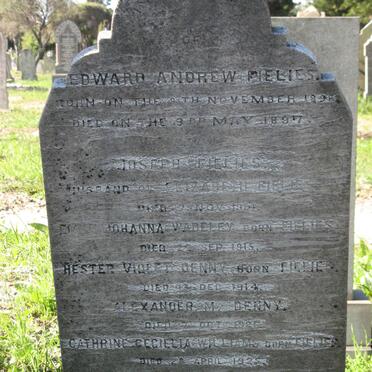 FIELIES :: WADELEY :: DENNY :: WILLIAMS