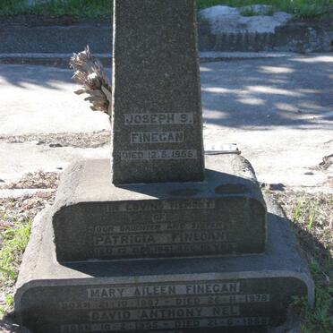 FINEGAN Joseph S. -1959 &amp; Mary Aileen 1907-1978 :: FINEGAN Patricia -1961 :: NEL David Anthony 1955-1955