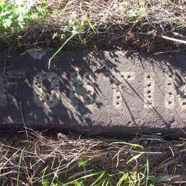 FONTINI Jacoba Petronella 1872-1937