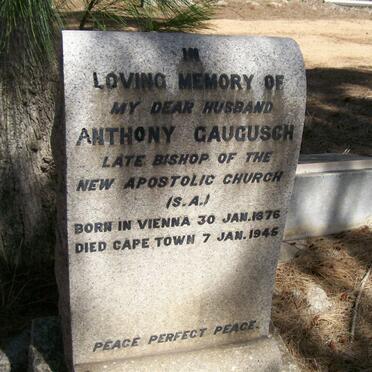 GAUGUSCH Anthony 1876-1945