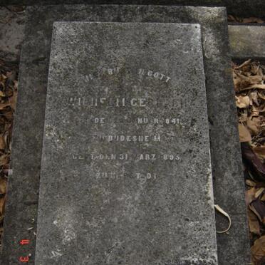 GERLACH Wilhelm 1841-1895