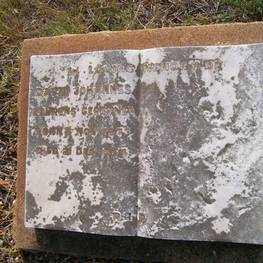 GERSTNER David Johannes Lourens 1873-1954