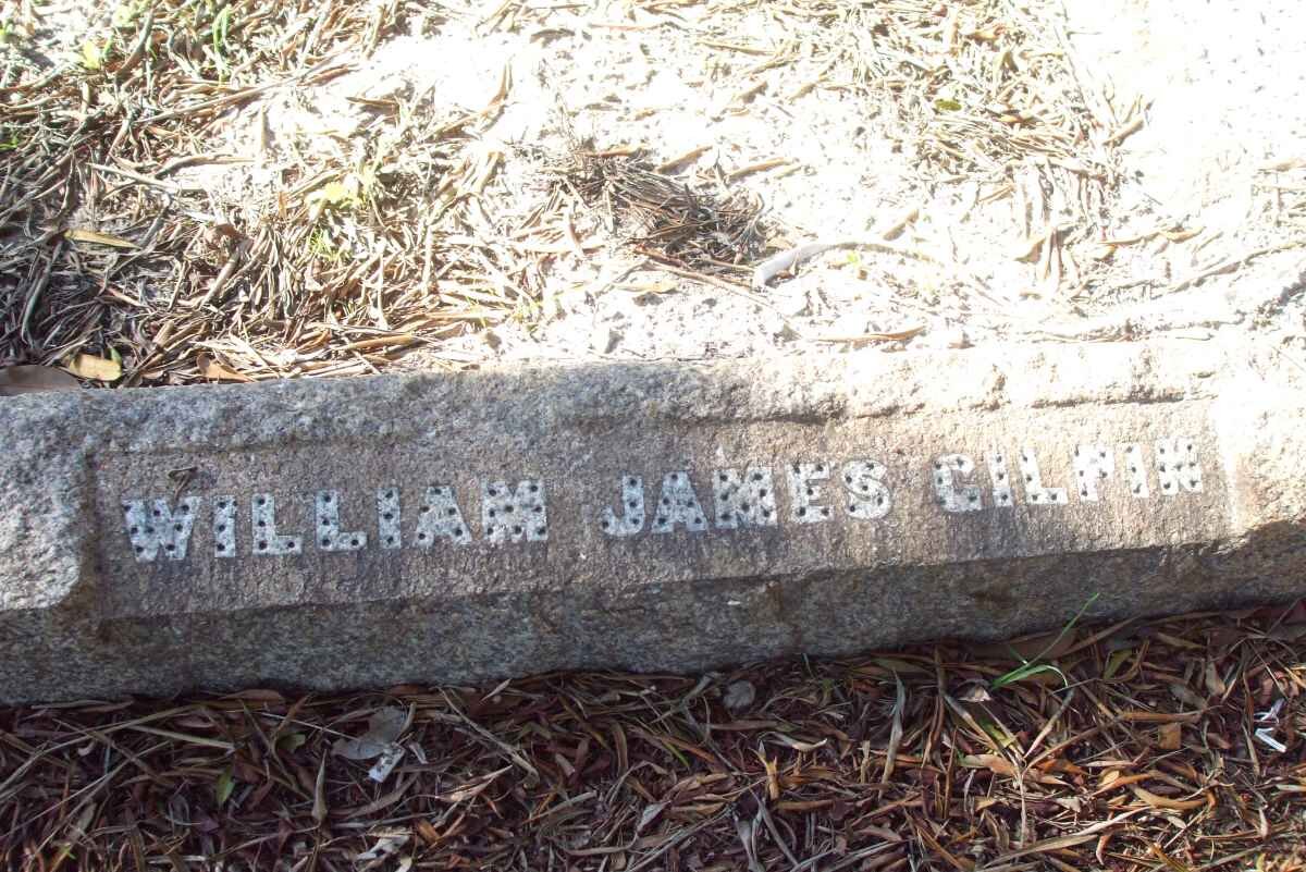 GILPIN William James