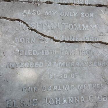 GIBBS Joseph 1900-1902