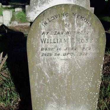 GROSS William 1852-1912