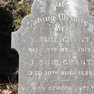GRANT A., Buie -1919 :: BUIE GRANT J. -1926