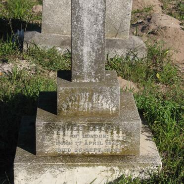 GROVES James 1865-1899