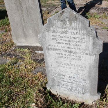 GROSCH :: FRIESLAAR :: DE KOCK