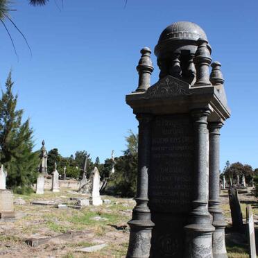 GREEN :: TIMSON :: DALE :: BICCARD :: CHIAPPINI