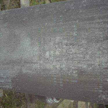 HAMILTON Thomas Alexander -1910 :: HAMILTON Thomas Alexander -1898