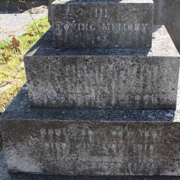 HALLOCK William Albert 1881-1915