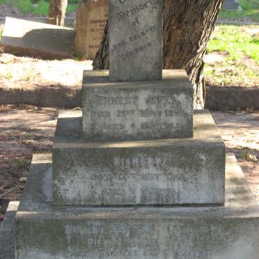 JONES Ernest -1894 :: JONES Richard -1901 :: JONES Albert Edward -1905