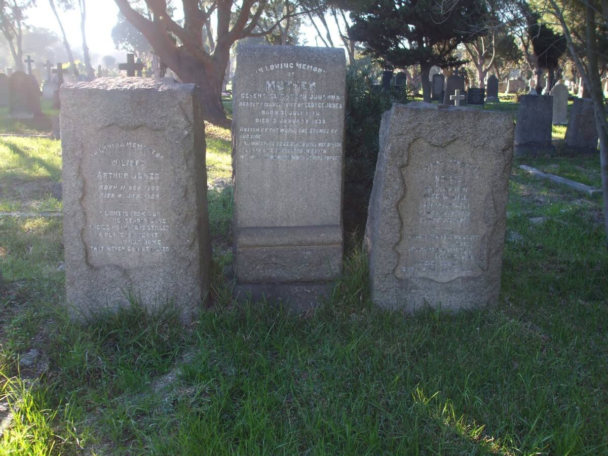 JONES Wilfred Arthur 1905-1920 :: JONES Gesena Elizabeth Johanna 1870-1938 :: JONES Lizzie -191? :: HILL Nellie 1868-1920