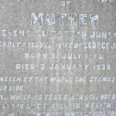 JONES Wilfred Arthur 1905-1920 :: JONES Gesena Elizabeth Johanna 1870-1938 :: JONES Lizzie -191? :: HILL Nellie 1868-1920