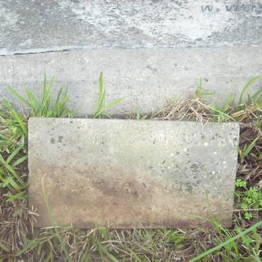 KANNEMEYER :: WILLIAMS :: FOWLES :: TOWNES