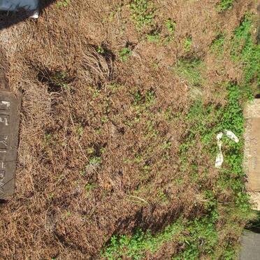 KLERK Marthinus Jacobus, de 1858-1944 &amp; Aletta Gertruida Wilhelmina LOOTS 1866-1947