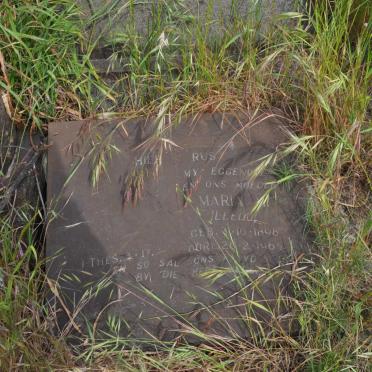 LEEDO Maria 1898-1965