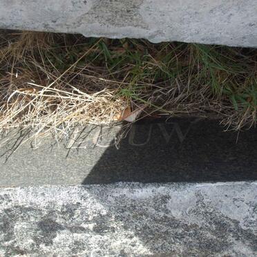 LOUW Daniel Jacobus 1896-1954