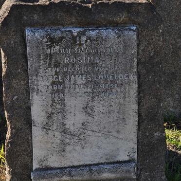 LOVELOCK Rosina 1856-1928