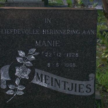 MEINTJIES Manie 1928-1968