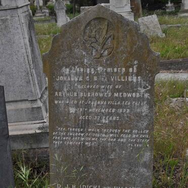 MEDWORTH Johanna G.B. nee DE VILLIERS -1899 :: DE VILLIERS D.J.R. 1901-1966