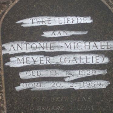 MEYER Antonie Michael 1929-1959