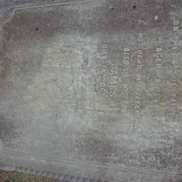 MERIFIELD James -1910 :: MERIFIELD James -1918