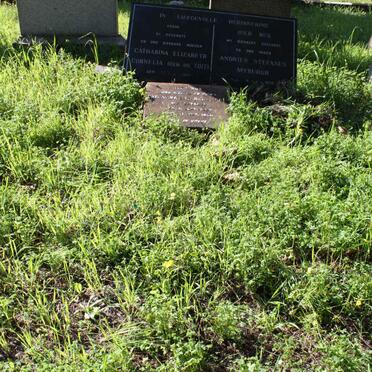 MYBURGH :: DU TOIT :: STRUSS