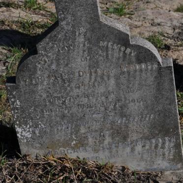 MADDEN Margaret Susan 1850-1928 :: MADDEN Laurence Loveday 1887-1912