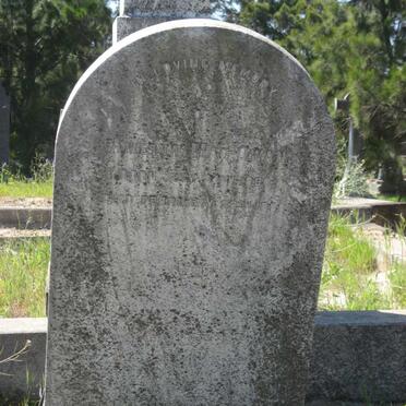 MACOWAN Amelia 1800-1898