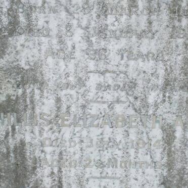 MATHEWS :: ALLAN :: FEHRS :: GRAY