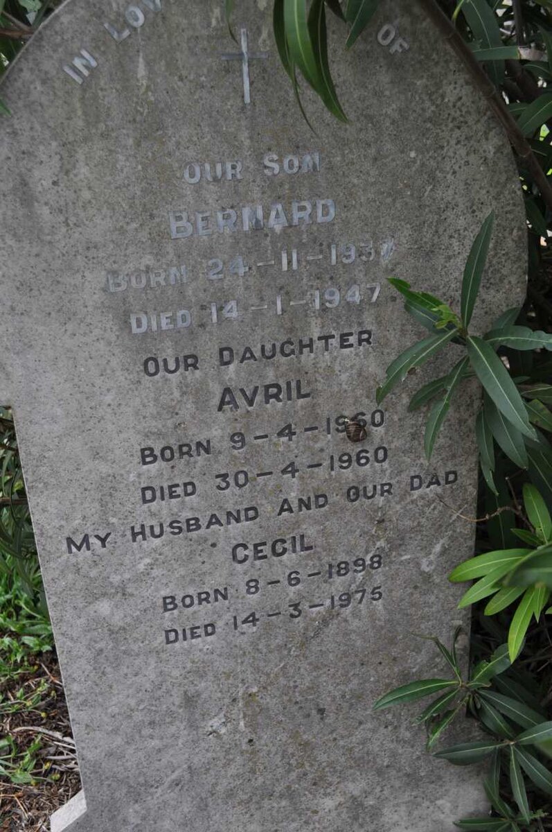 MORISON Cecil 1898-1975 :: MORISON Bernard 1937-1947 :: MORISON Avril 1960-1960