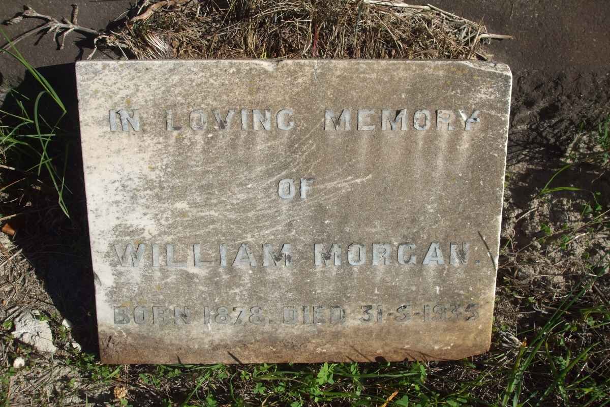 MORGAN William 1878-1935
