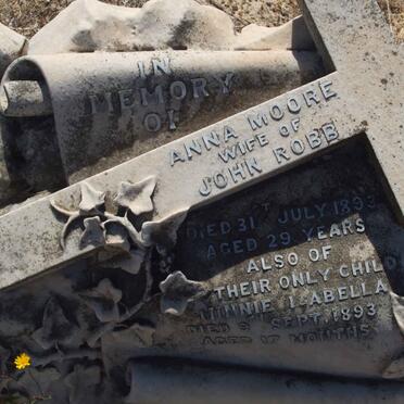 MOORE Anna -1893 :: MOORE Minnie Isabella -1893