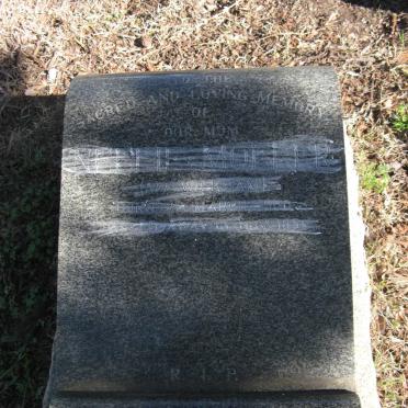 MOLLER Nellie nee WICKHAM 1900-1958