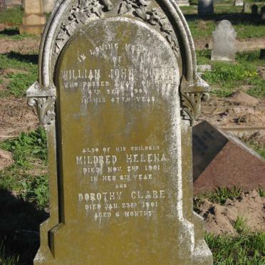 MORRIS William John -1904 :: MORRIS Mildred Helena -1901 :: MORRIS Dorothy Clare -1901