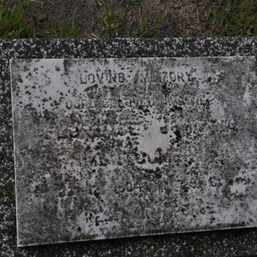 MONTGOMERY Florence ? 1904-