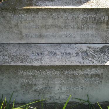 McCONOMY William 1859-1898 :: McCONOMY Wilfred William -1896