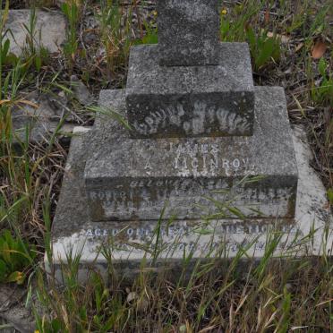 McINROY James Hay -19??