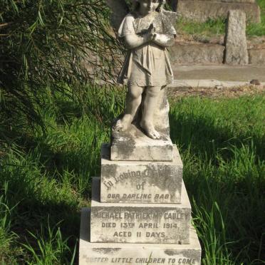 McCAULEY Michael Patrick -1914