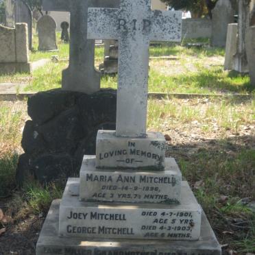MITCHELL Jane Miller -1918 :: MITCHELL Patrick -1940 :: MITCHELL Elizabeth -1941 :: MITCHELL Maria Ann -1896