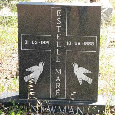 Ne - Surnames starting with the letters Ne